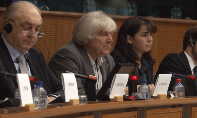 Video of the Conference: “Aid to the private sector: promoting responsible investments?”