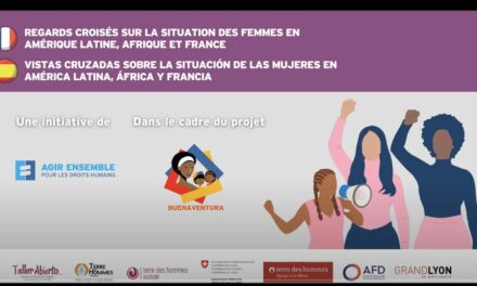 Webinar: Cross-views on the situation of women in Latin America, Africa and France
