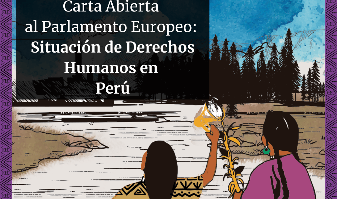 Carta Abierta al Parlamento Europeo: Derechos Humanos en Perú